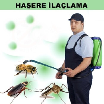 Dodurga Böcek İlaçlama